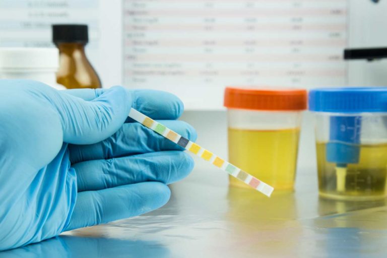 AB 132 Requires Many Nevada-Based Employers to Revisit Their Drug Test Policies